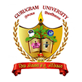 Gurugram University