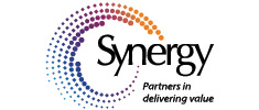 pro-client-synergy-100.jpg